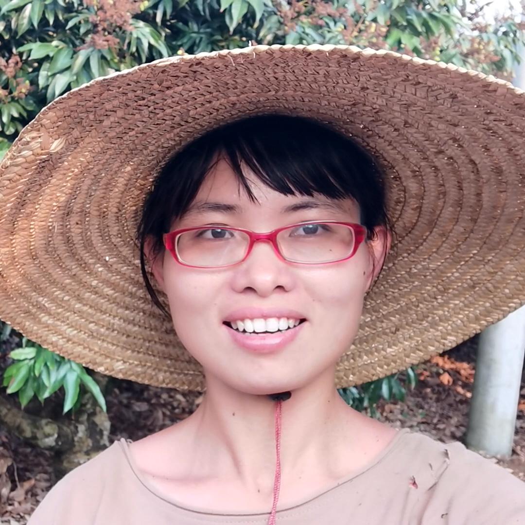 海南刘大脚