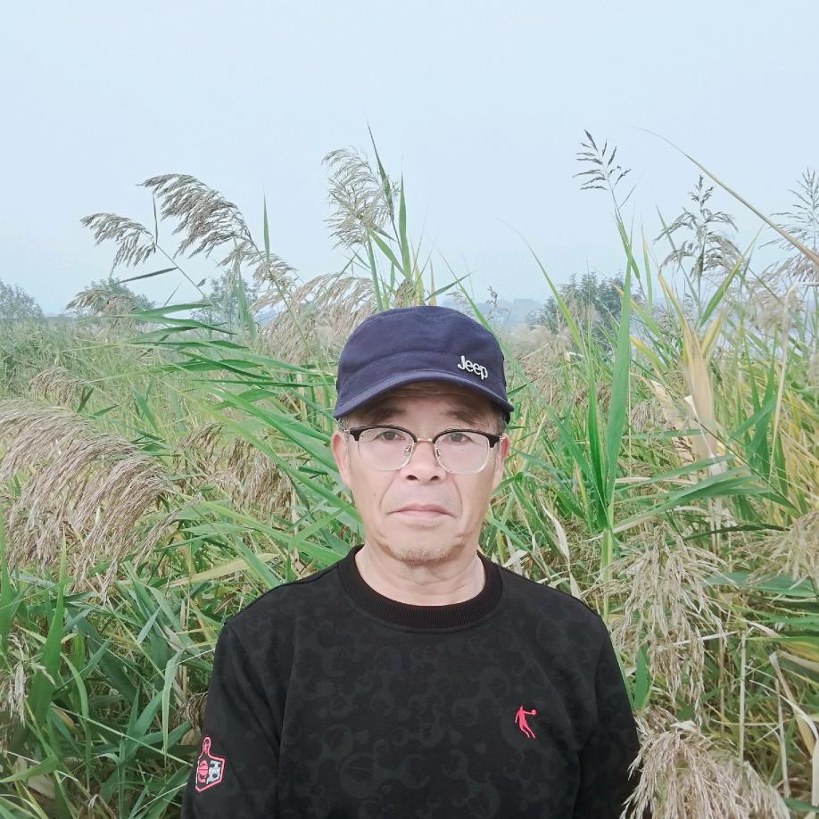 佛门老班