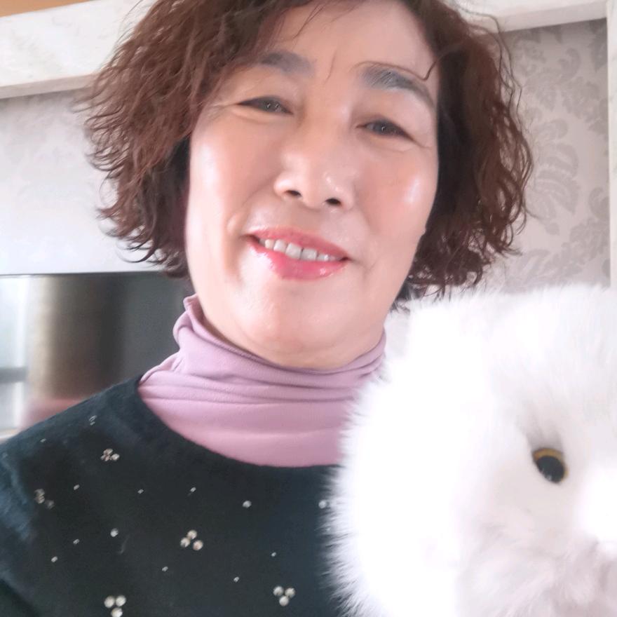 鲁新兰