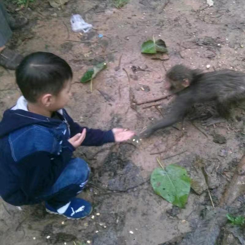 钓鱼来了