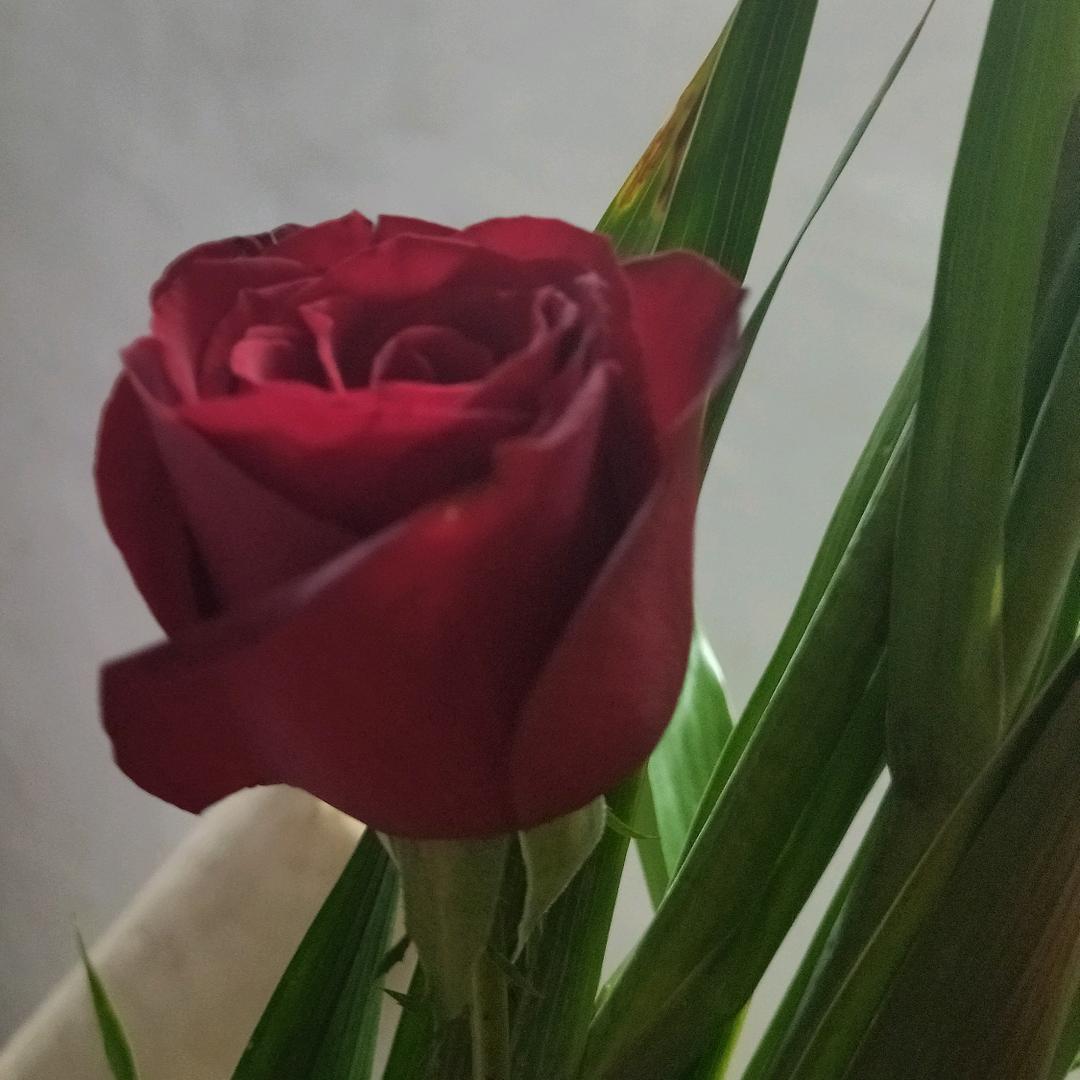 幸褔好物
