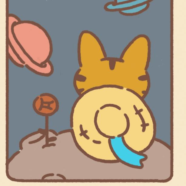 半夜找猫
