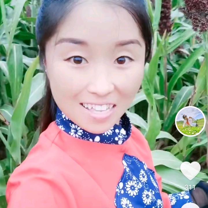 虎牙妹《网络推广》