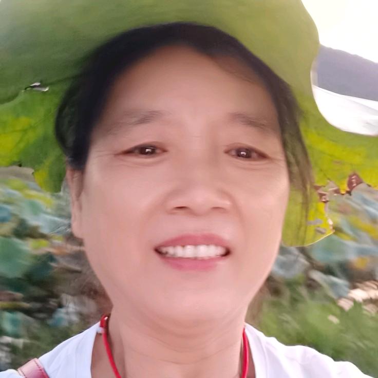 何阿姨🔆
