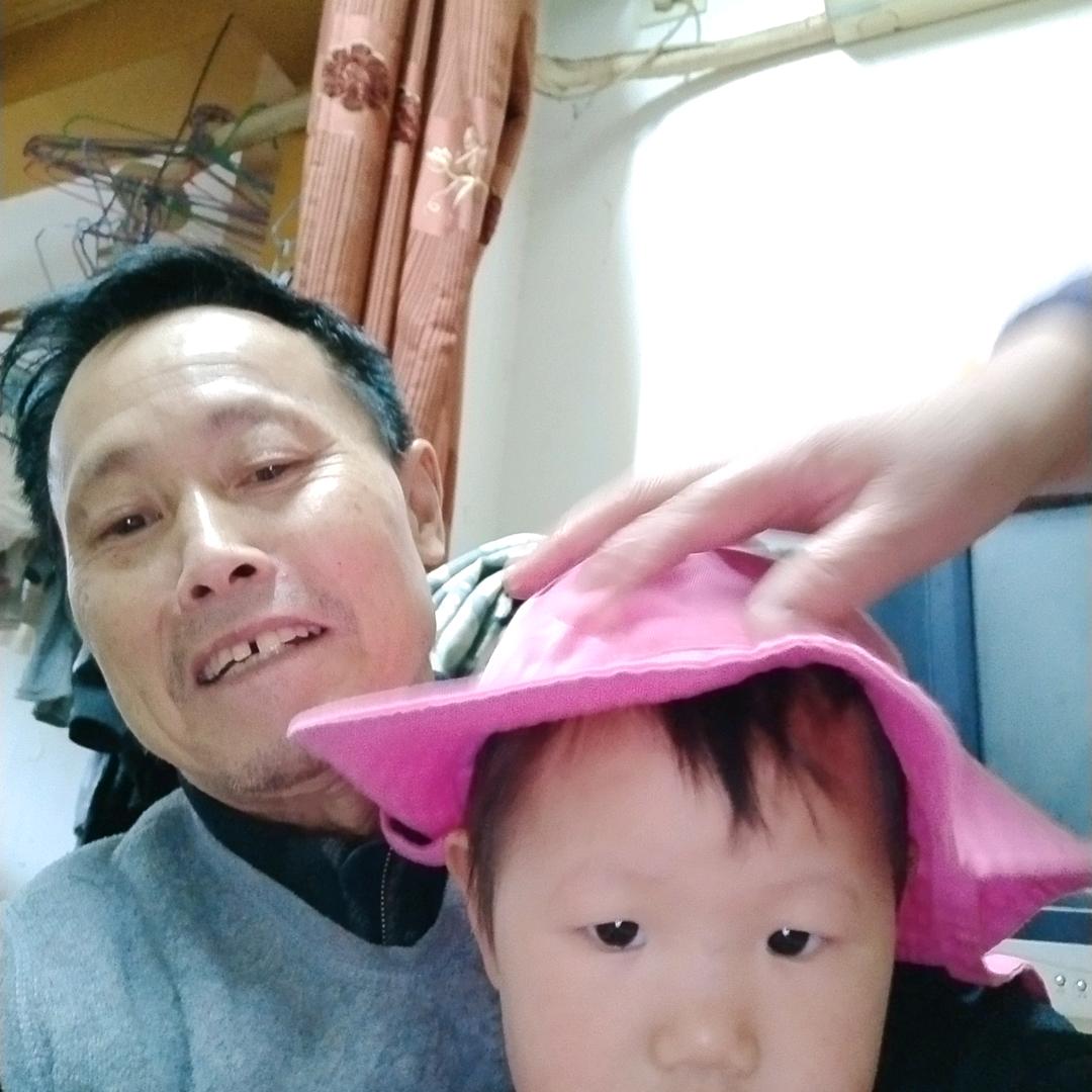 孤木