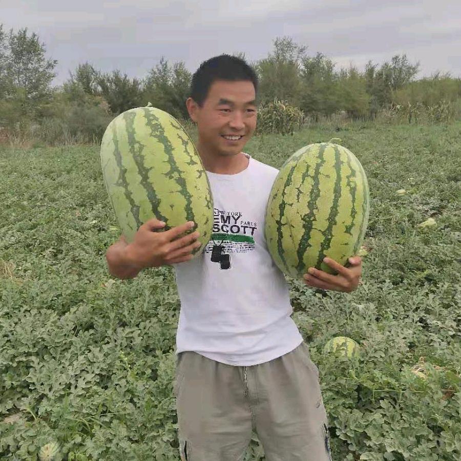 满瓜糖（新疆西瓜代办李可）
