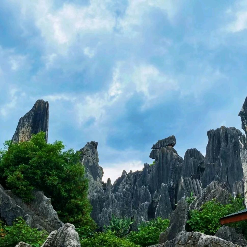 《东山再起》