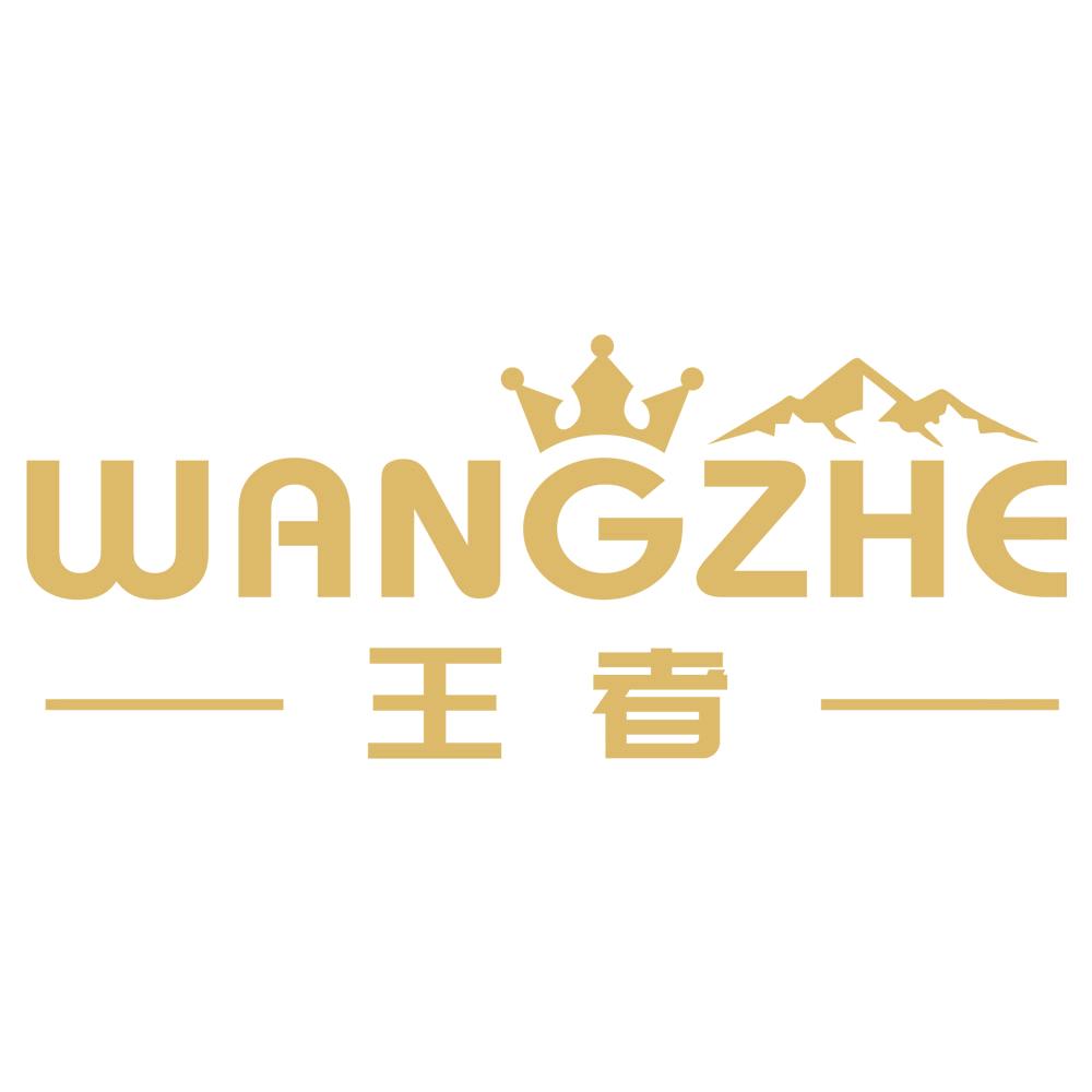 王者露营