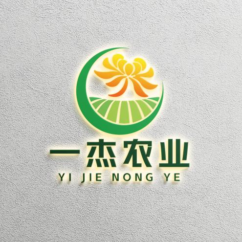 徐 栋丨江苏菊花批发+菊花种苗丨一杰农业