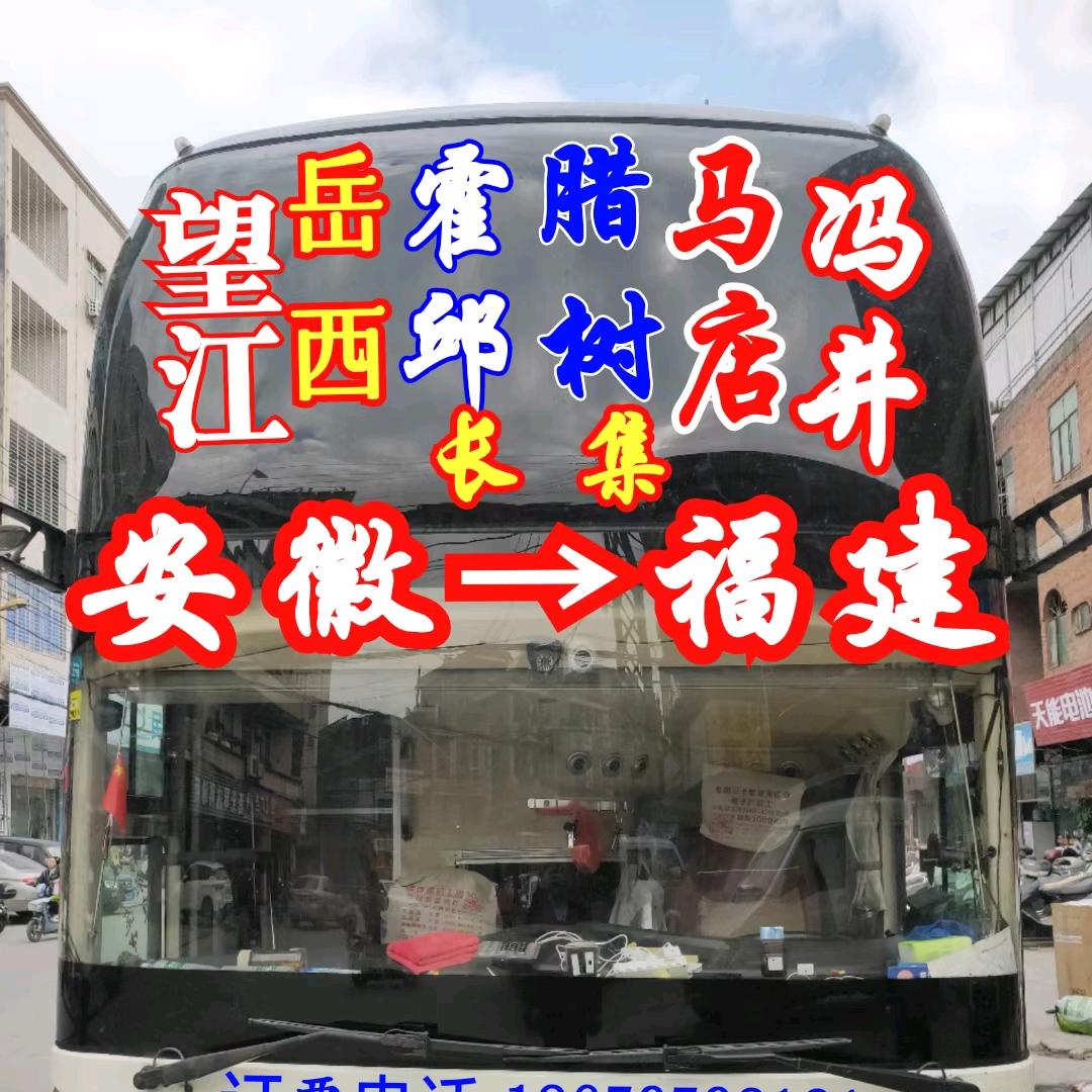 福_建_安_徽_大_巴