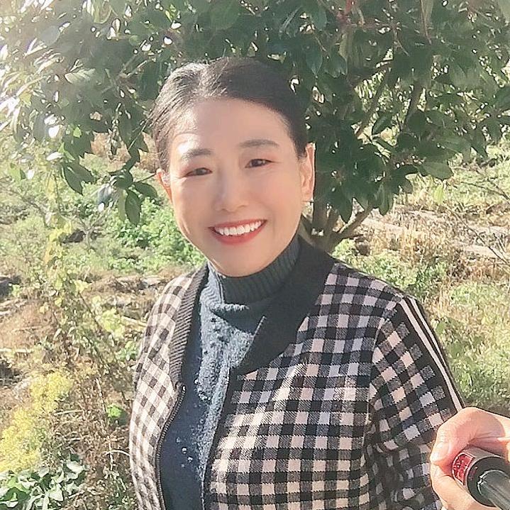 菊姐
