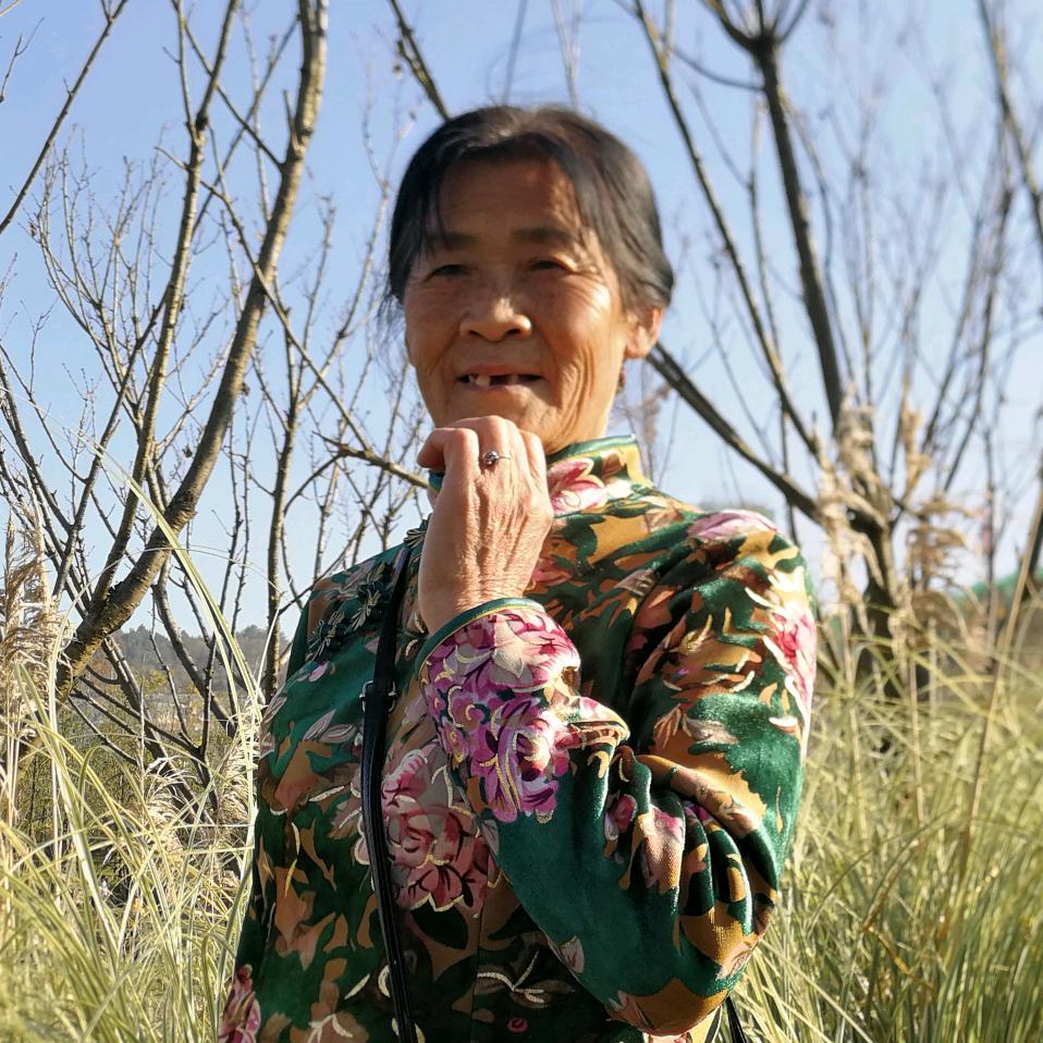秋菊