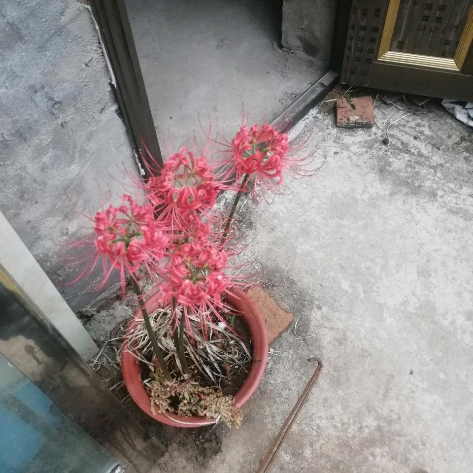 缘份