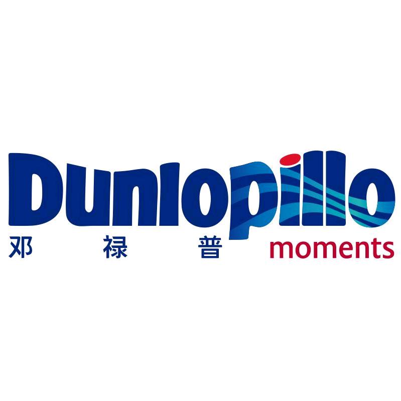 邓禄普官方旗舰店