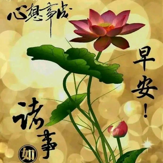 玉鑫雨
