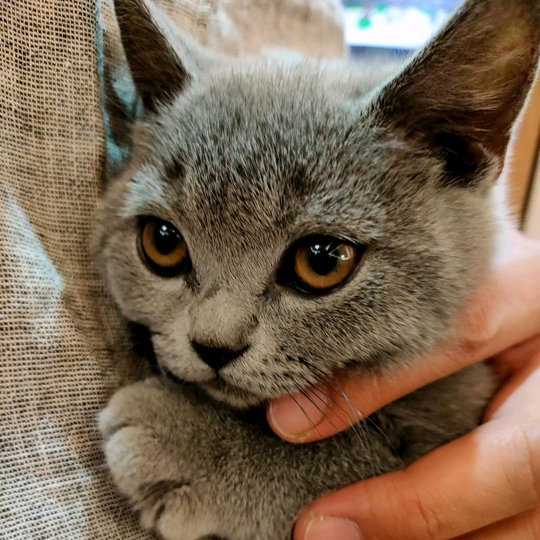 汤💞果冻