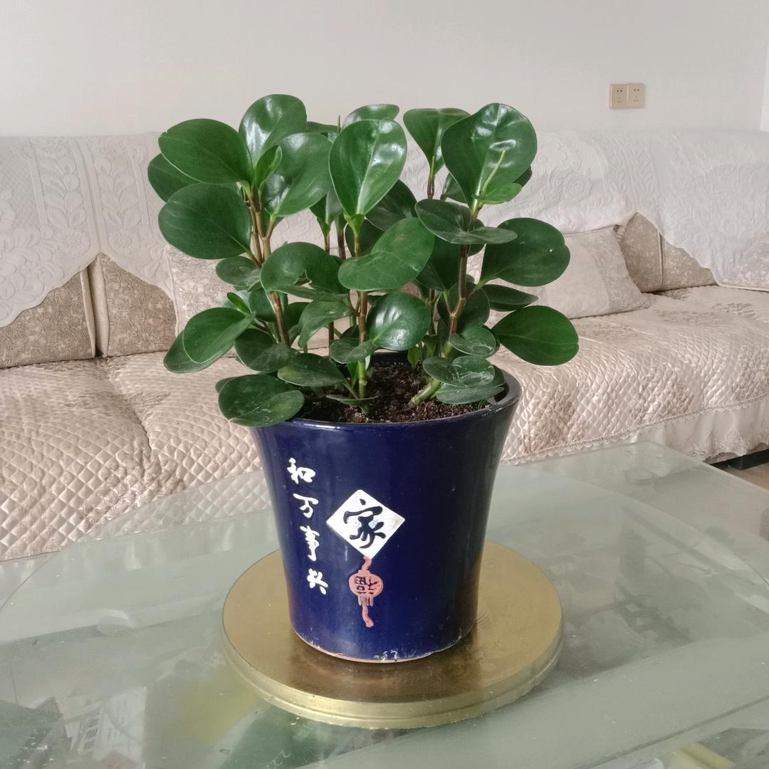 丿快乐一生