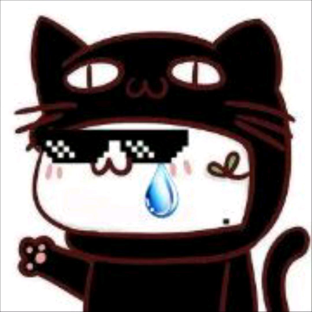 黑猫的泪水
