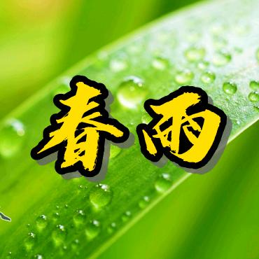 春雨