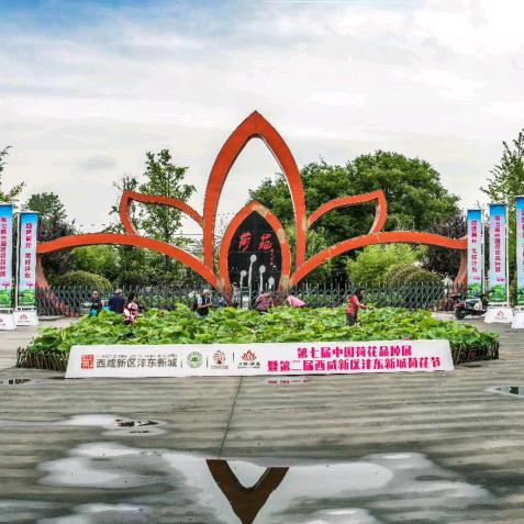 沣东荷苑