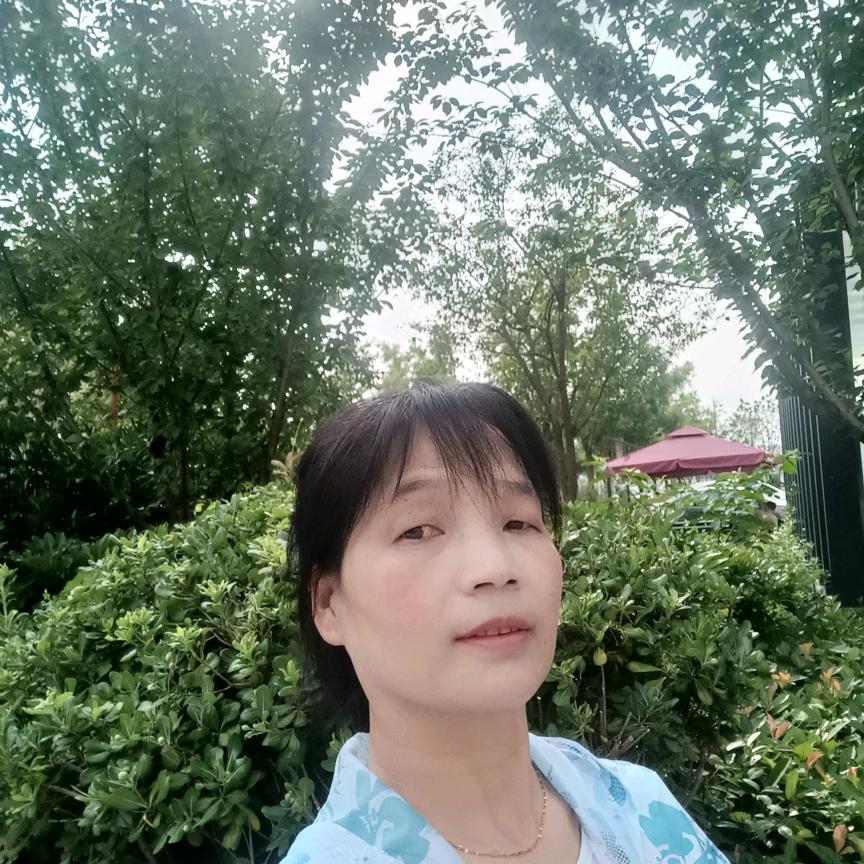 农村宋姐