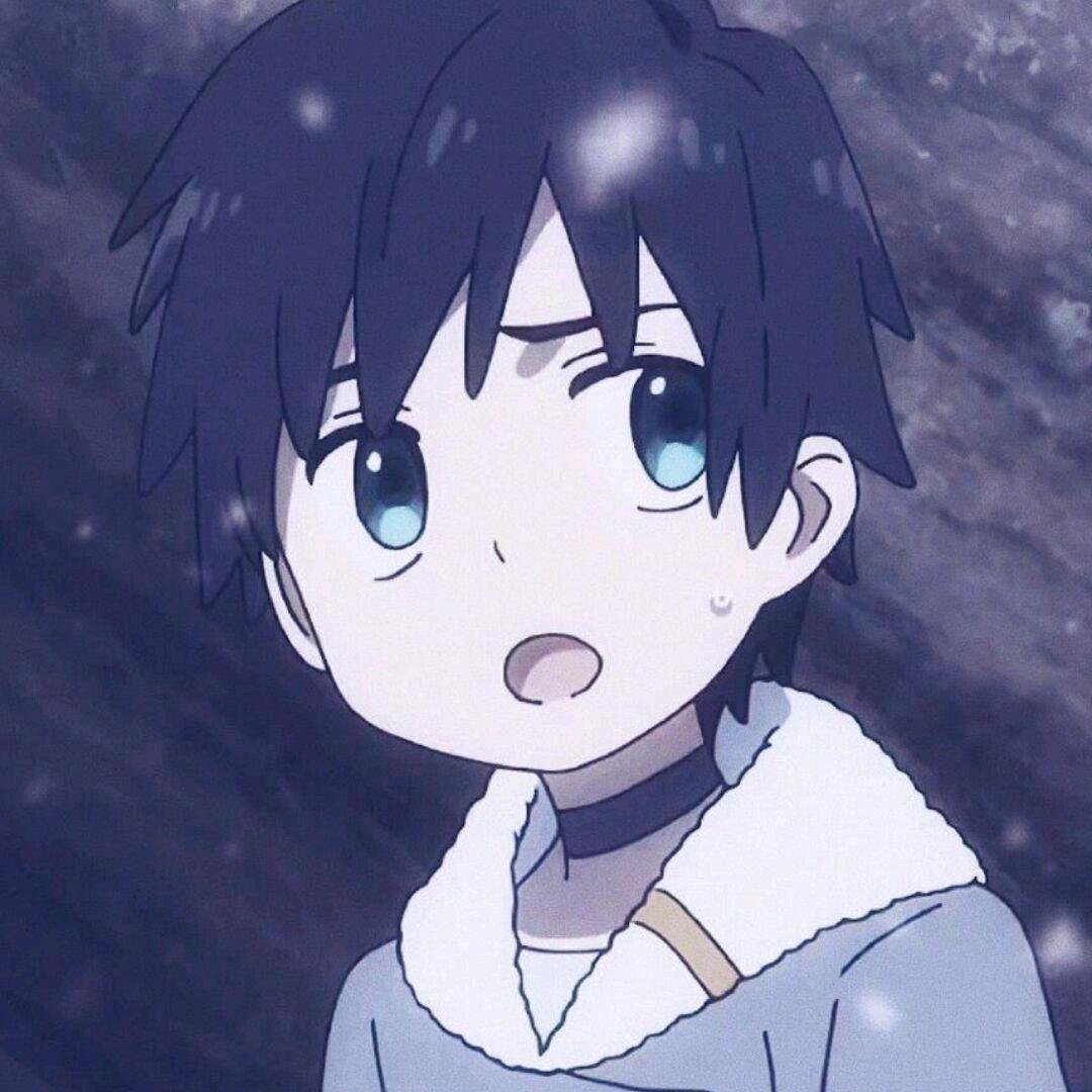 陪花开