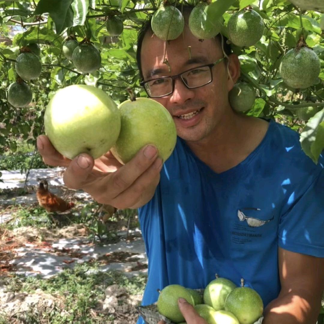 绿鹏农场（武平百香果）
