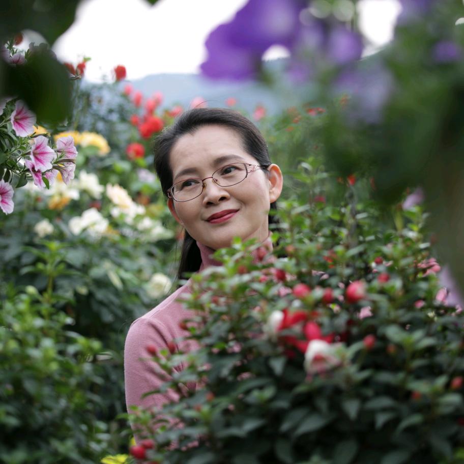 涛涛的花园