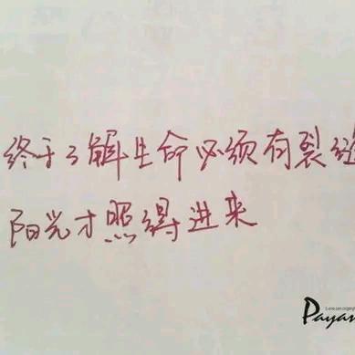 你穿错了婚纱怎么会美