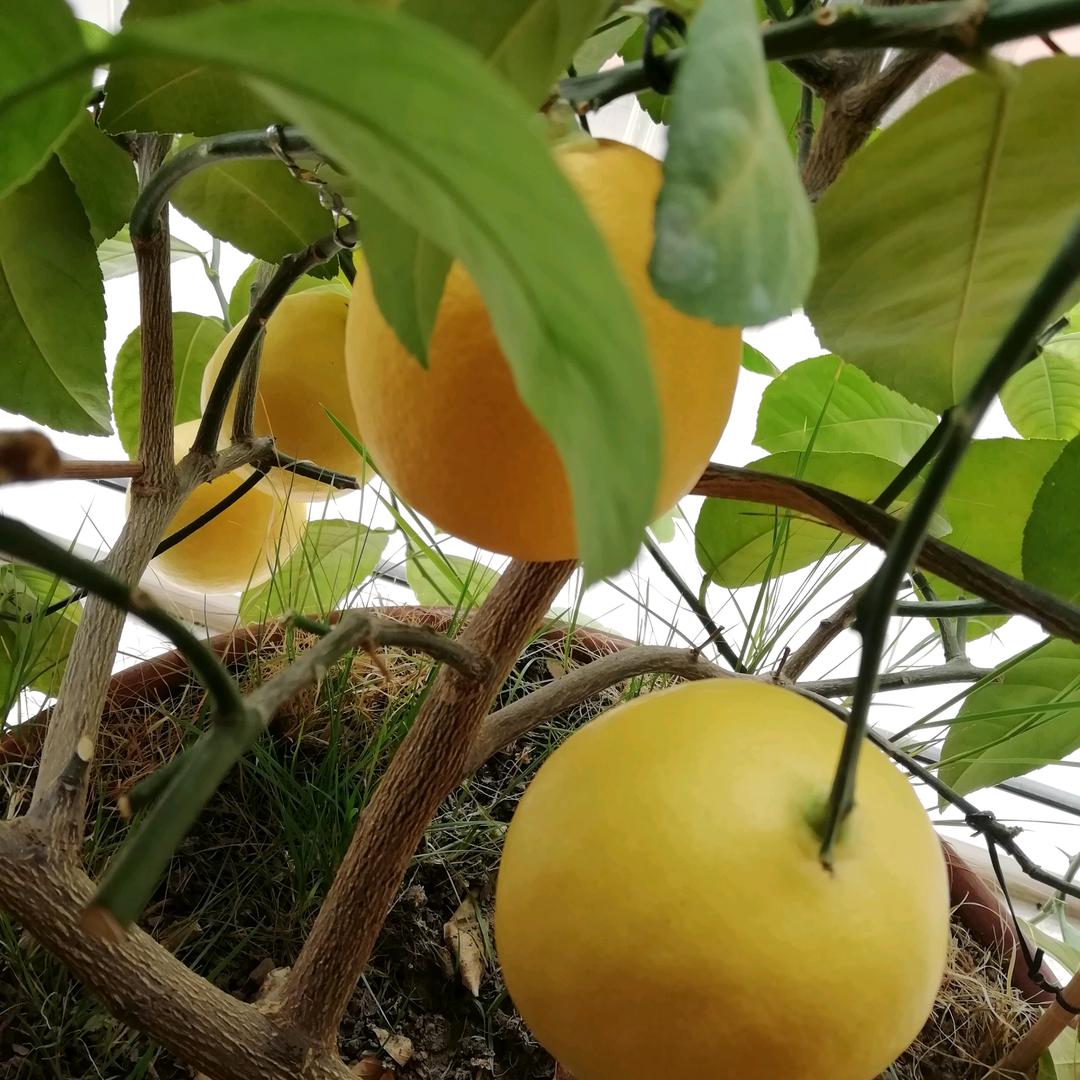祝福明天