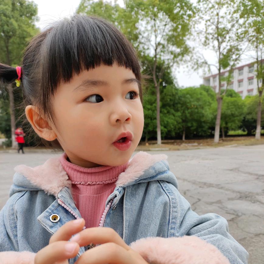 快乐的乐乐