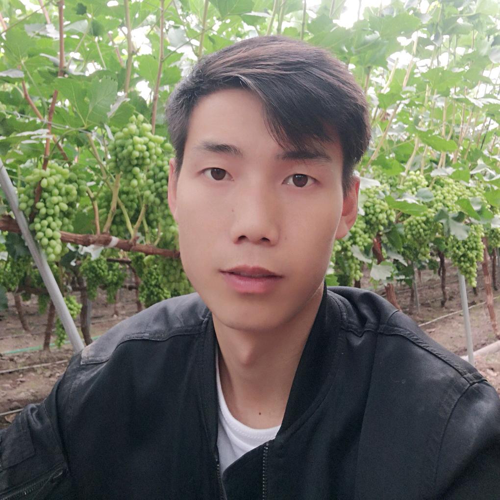 大凉山王鲜生农业
