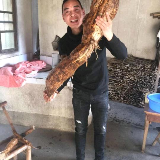 陶奇宝