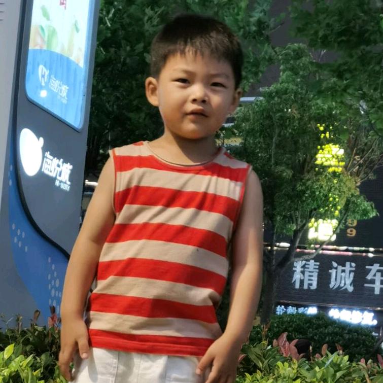 思哲