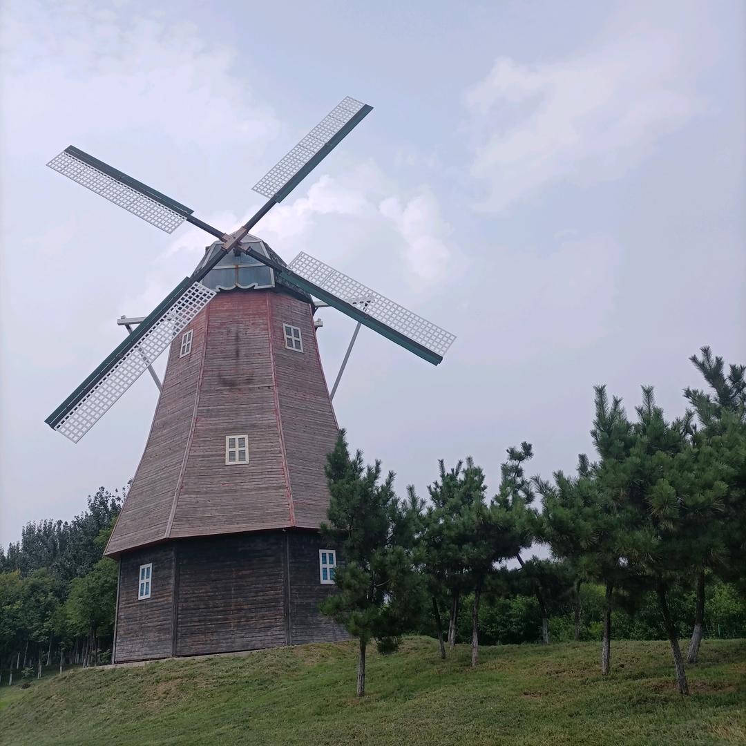 大宝小宝
