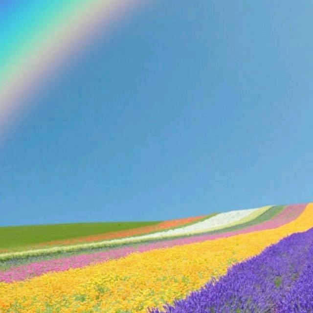 浮戏