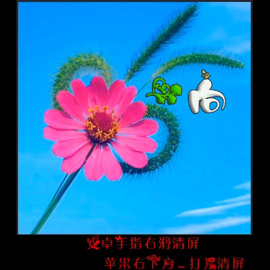 恰似旧相识