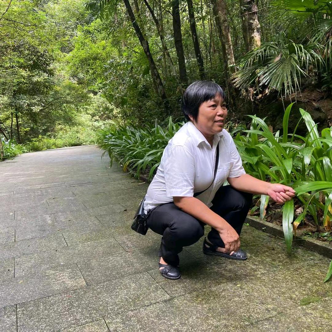 老猪婆