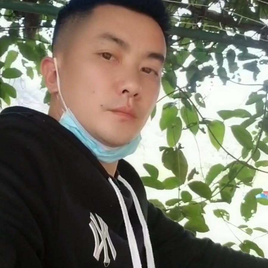 林里的一只鸟