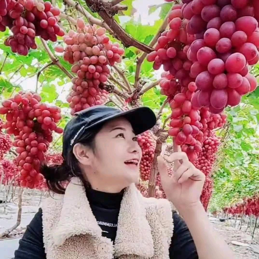 @凉山葡萄妹