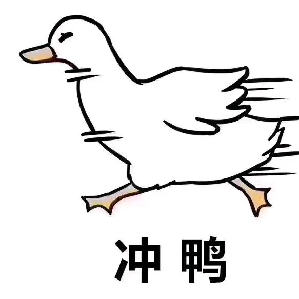 老大不小