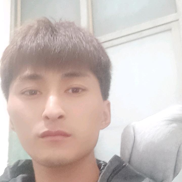 林林*^_^*观赏鸽