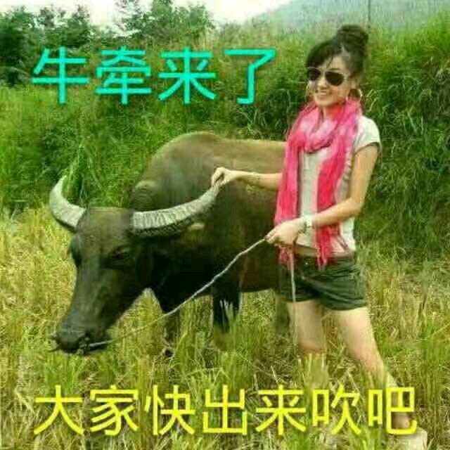 梅花