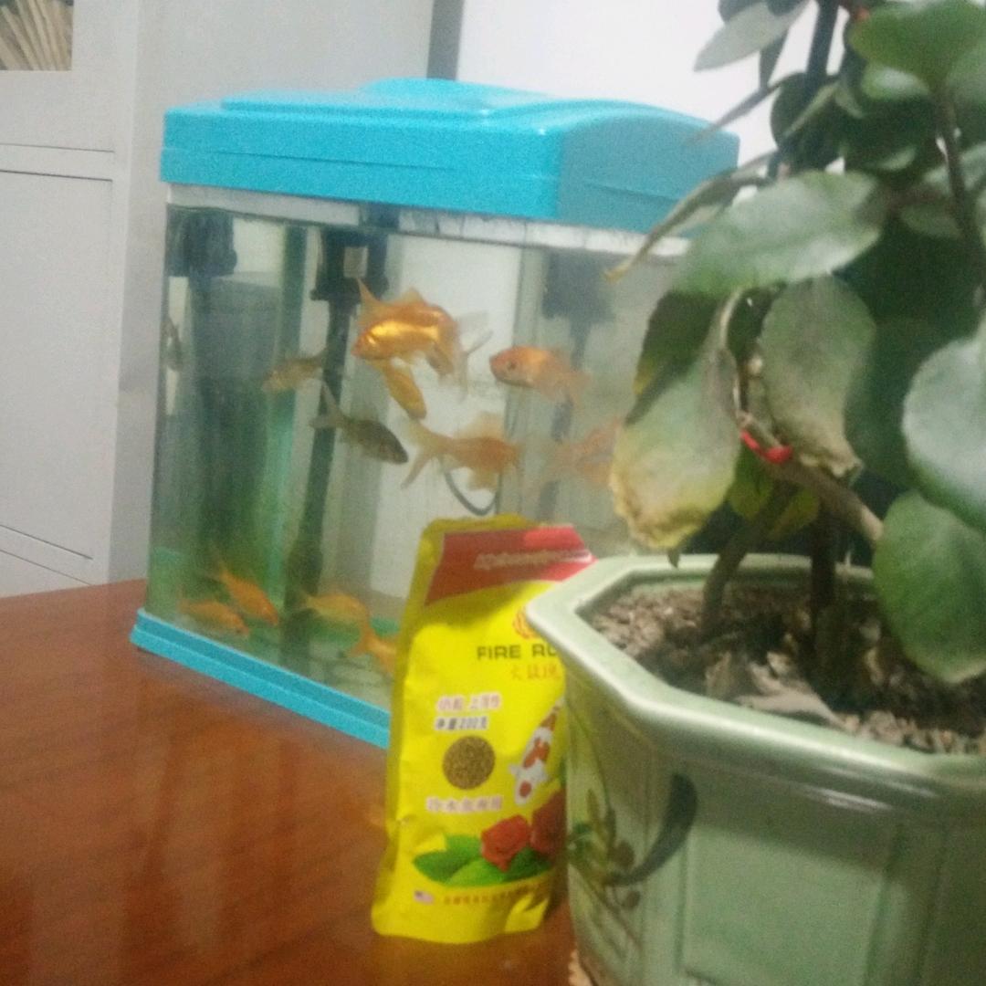 更换生活