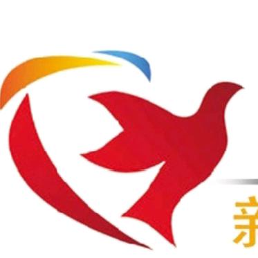 新疆翻翻鸽空中舞者