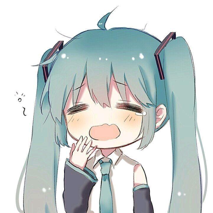 凉音解说