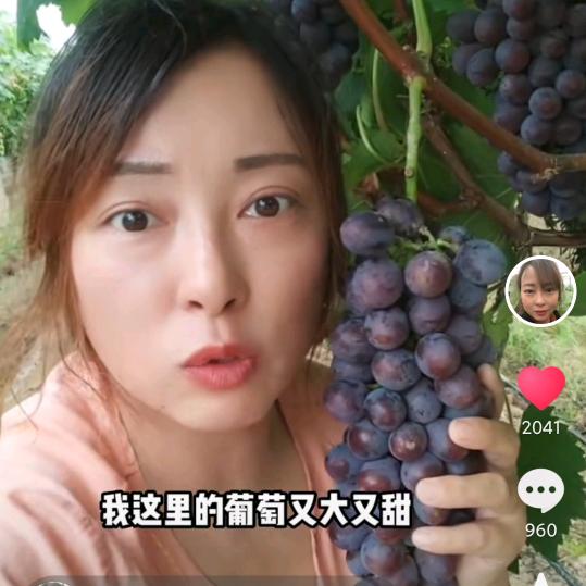 三里铺胡姐葡萄采摘园官方号