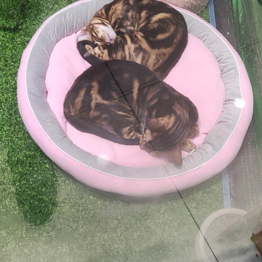清酒暖风