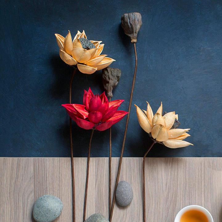 小艾正能量
