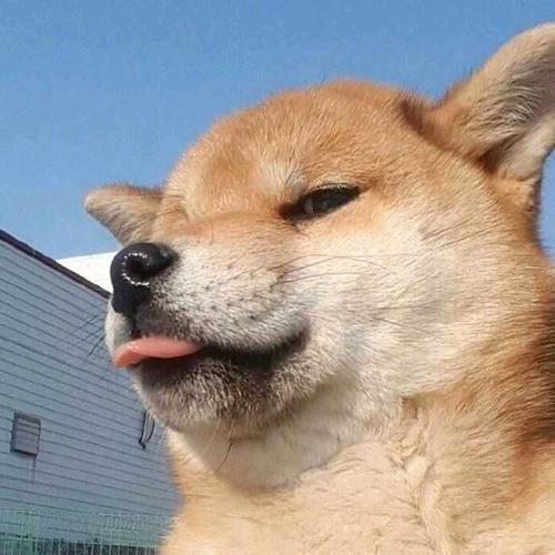 呆萌